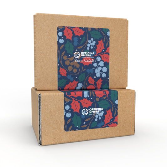 Bioteko - Christmas EcoBox