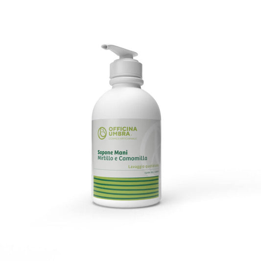 Bioteko Cosmetics - Blueberry and Chamomile Hand Soap 300ml